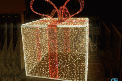 Pacco-di-natale