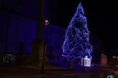 albero-con-pacco