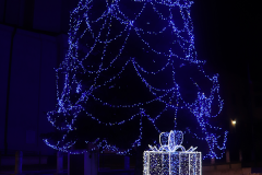albero-con-pacco_1