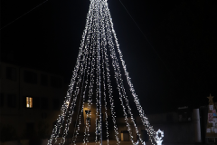 albero-con-renne_1