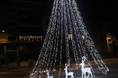 albero-con-renne_2