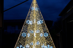 albero