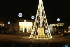 piazza-albero