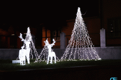 piazza-aobero-renne