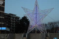 stellona