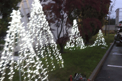 workinprogress-alberi