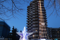 Edificio-con-stella