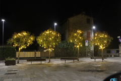 alberi-led