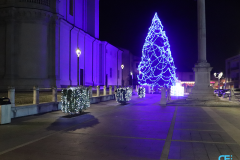 albero-led