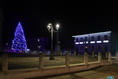albero-municipio